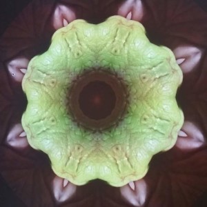 Still from the interactive kaleidoscope application.